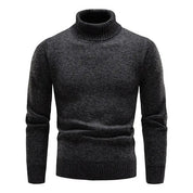 Eleganter Rollkragenpullover | Agathias